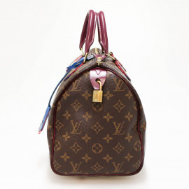 Speedy 30 LOUIS VUITTON Monogram Totem