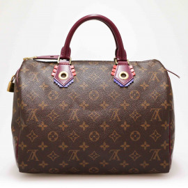 Speedy 30 LOUIS VUITTON Monogram Totem