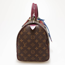 Speedy 30 LOUIS VUITTON Monogram Totem